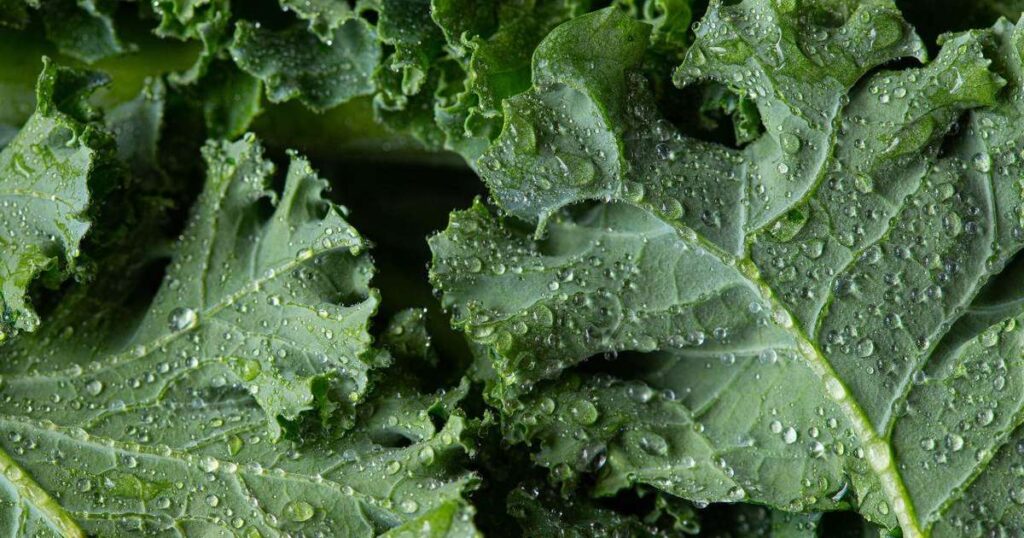 Alimentos ricos em fibras como legumes, frutas e vegetais verdes