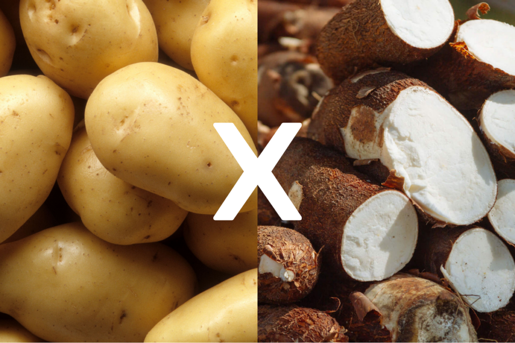Comparação entre batata inglesa e mandioca em um prato saudável