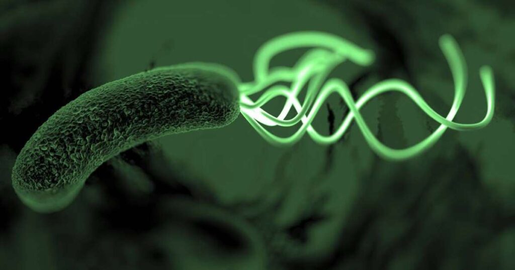 Representação da bactéria Helicobacter pylori em forma de espiral