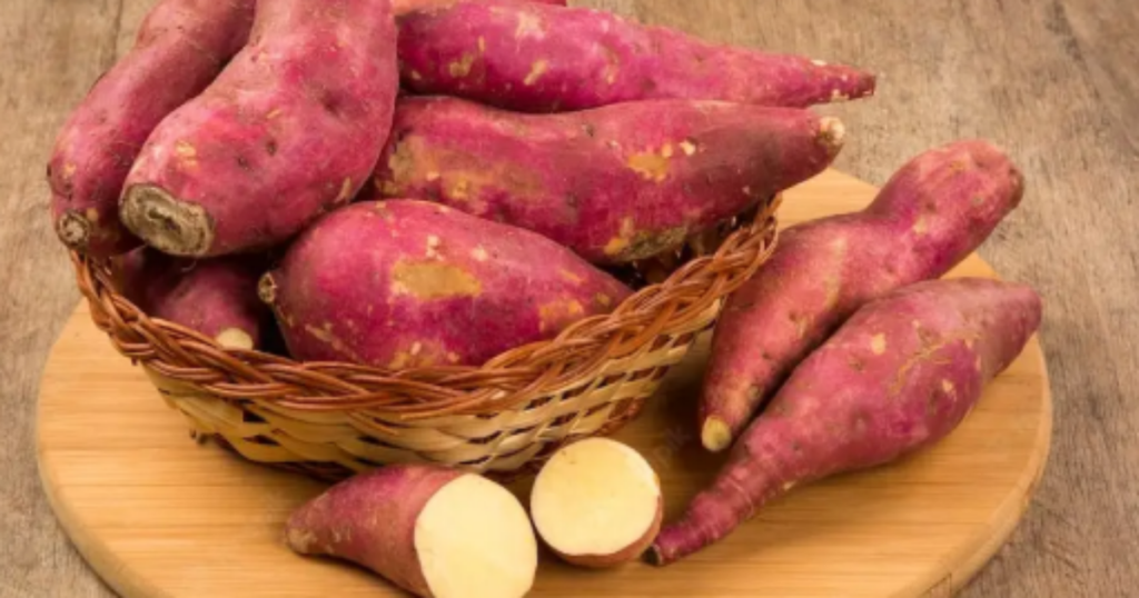 Batata-doce cozida em um prato, ideal para incluir na dieta pré-treino